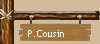 P.Cousin